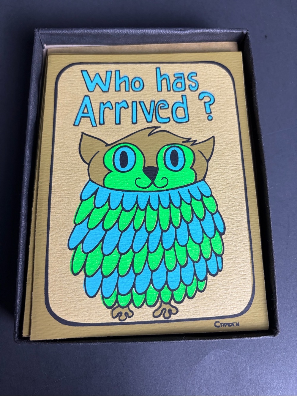 Set Of 8 Vintage Owl Velvetone Screen Print Cards W/ Box,  Baby Announcements